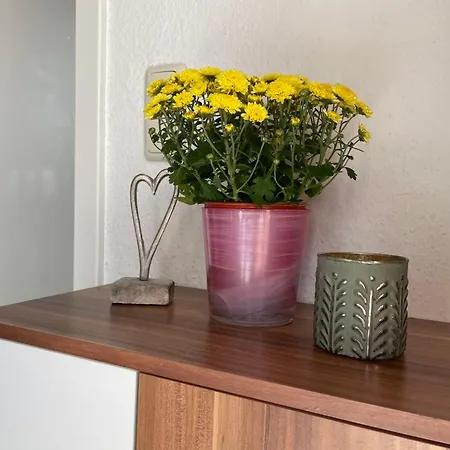Apartment Old Huesung - Muz328 By Interhome *