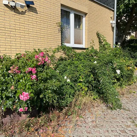 Apartman Old Huesung - Muz328 By Interhome